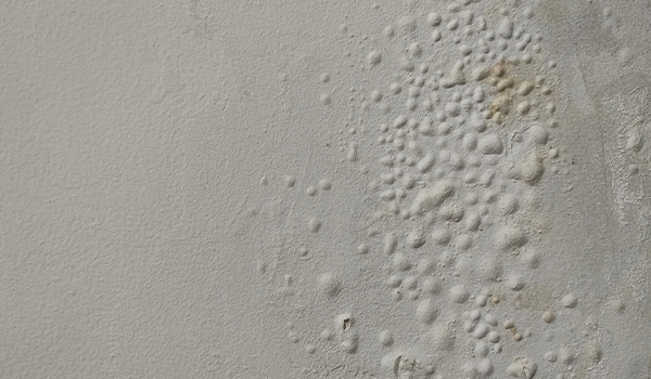 Waterproofing and Sealing Leaking Blockwalls