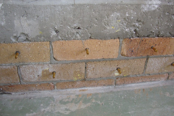 Showing how chemical injection is deployed in brickwork