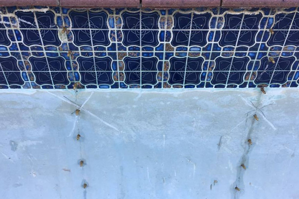 Showing the process of Chemical Injection for pools