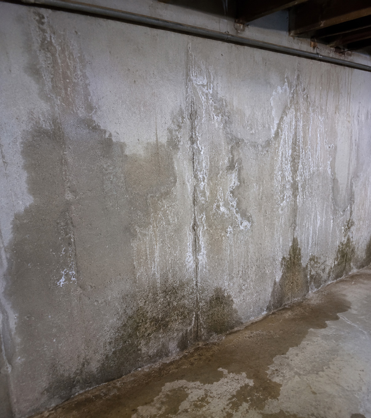 Basement Leaks in Apartment and Strata Properties