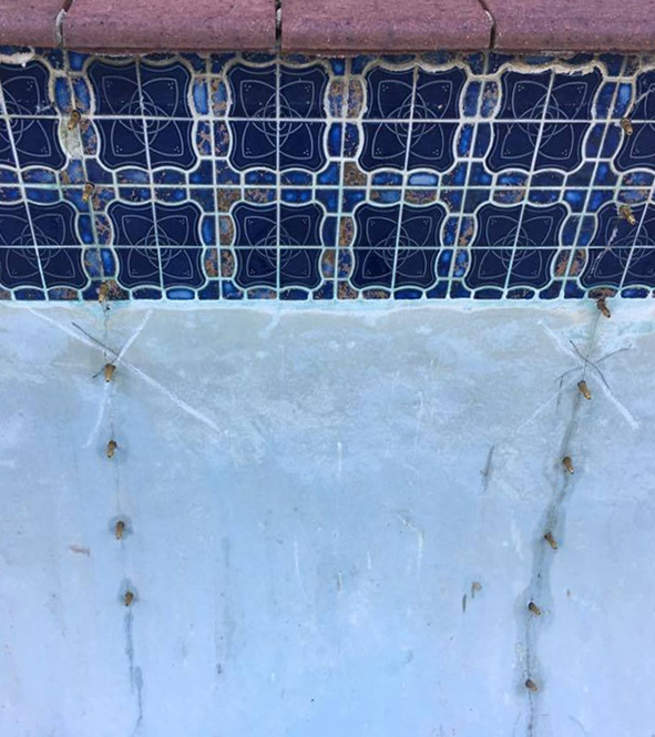 When Chemical Injection Suits a Pool Leak